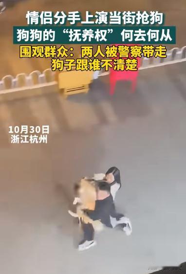 2024年10月30日杭州一对情侣分手后为争抢狗子的饲养权，竟当街厮打起来！原本