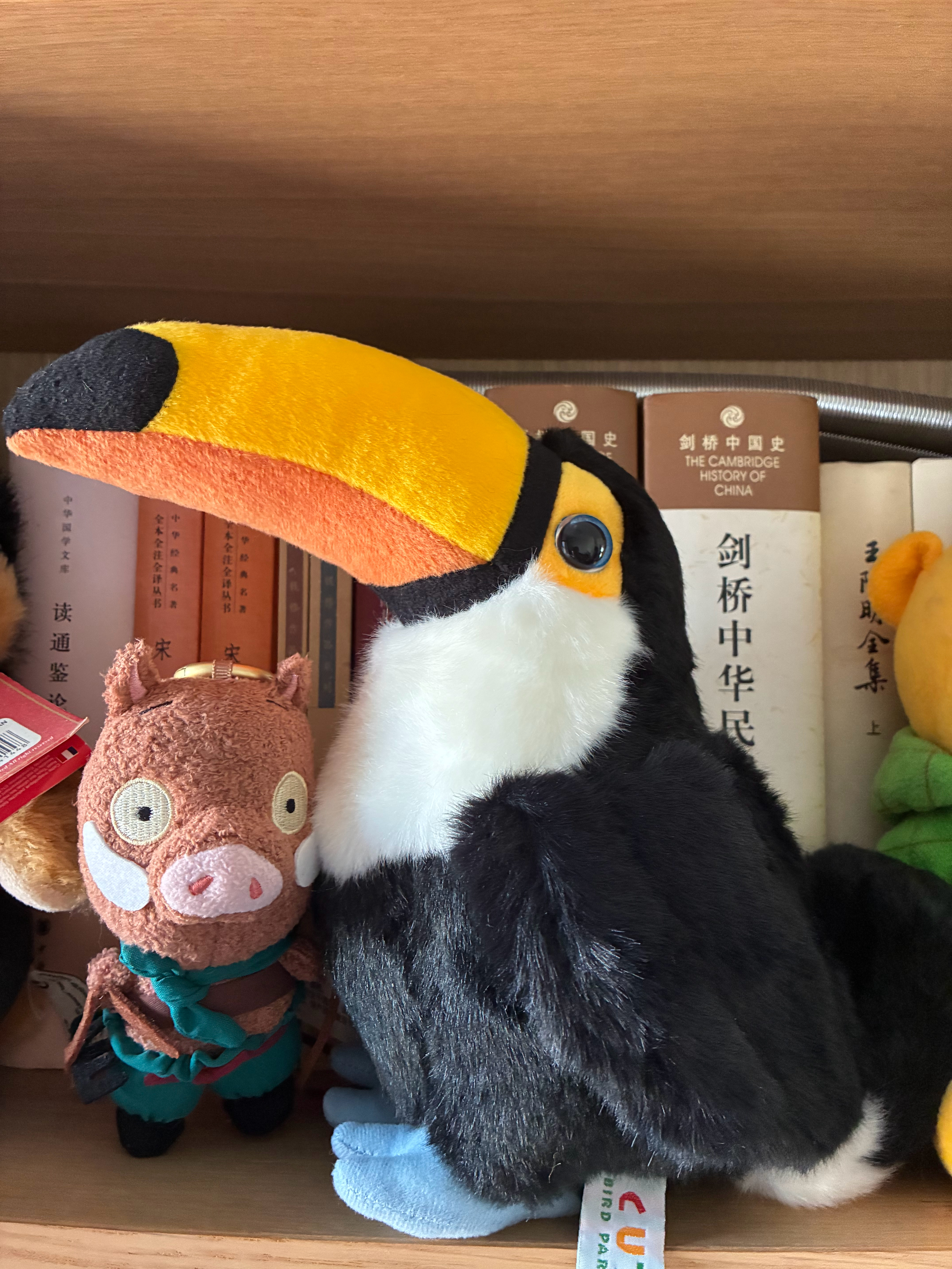 双十一收了这个巨嘴鸟。跟小猪放在一起，希望大家都能有最铁的头，最硬的嘴！ 