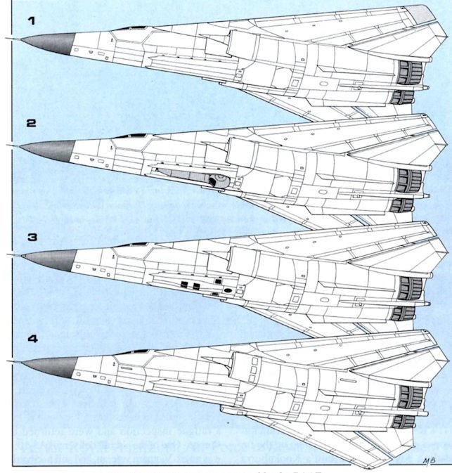 喷火的土豚 澳大利亚皇家空军（RAAF）使用过的的F-111型号：1.  F-1