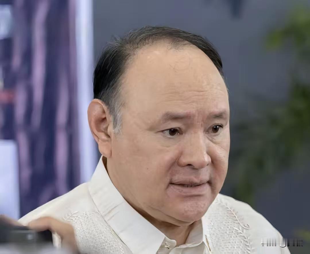 菲律宾防长：一旦台海生战，绝不袖手旁观，绝对站在中国对立面

最近，菲律宾国防部