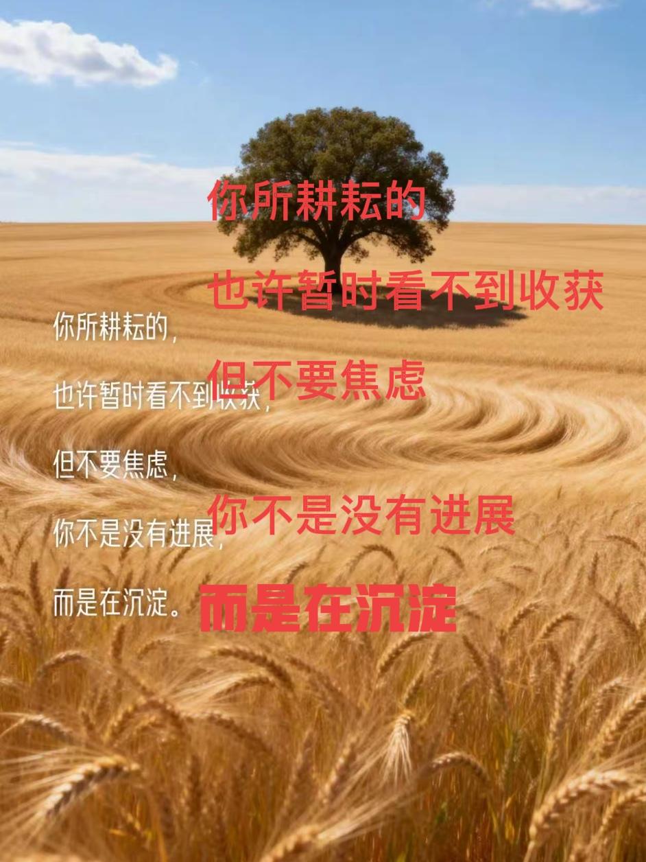 我没有和我一样的人啊，天天看看收益，不想继续写下去了，想要不切实际收获，文化程度