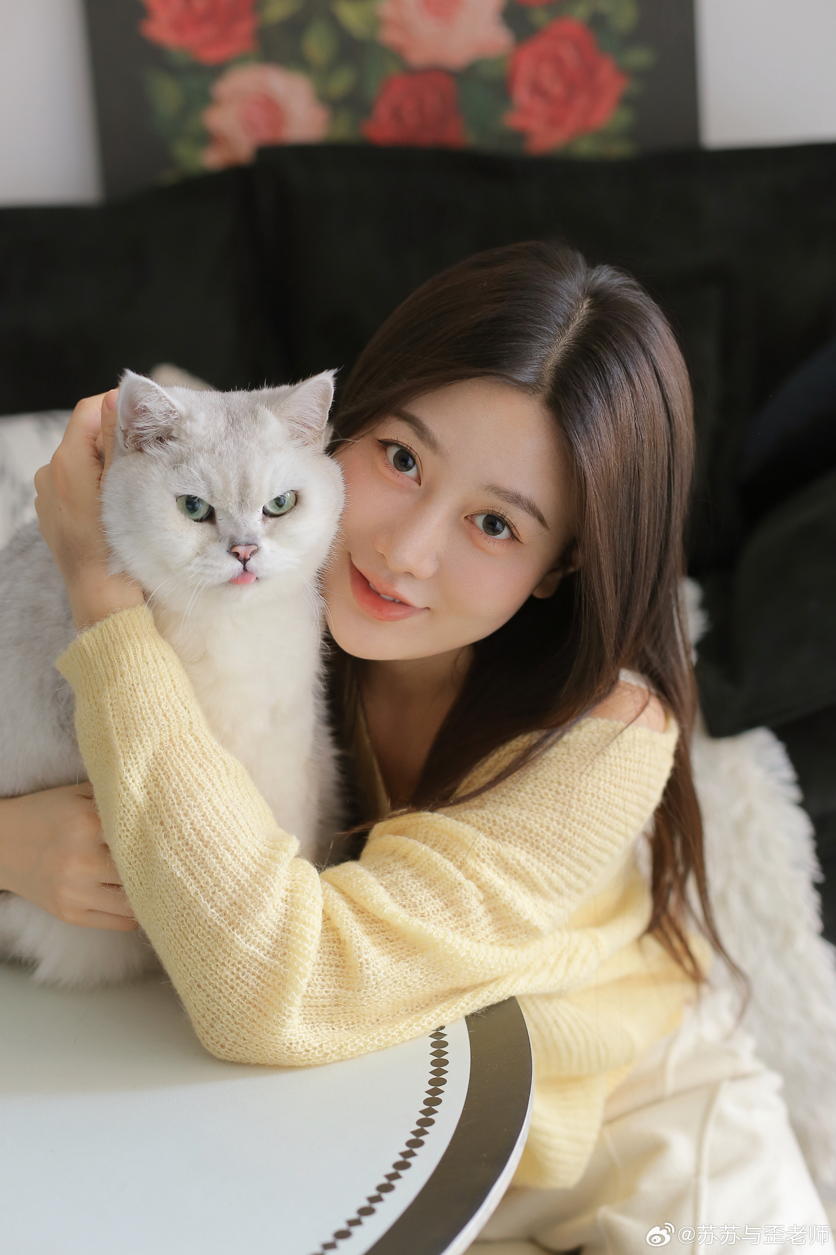 我的小猫原本是这样的，白白胖胖的，我怀孕的第二个月朋友给我们拍了写真，那会它刚检