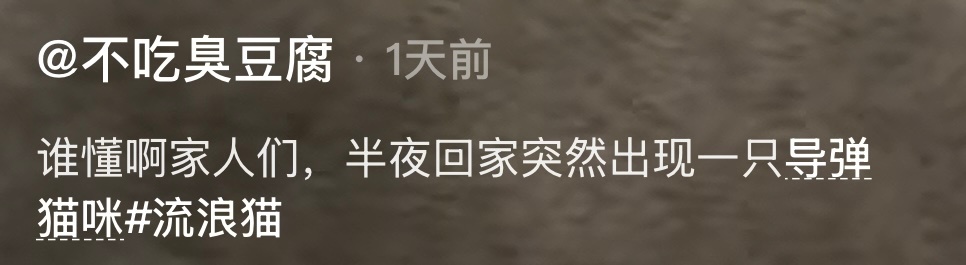 开心到把尾巴贴在背上的猫咪人间值得有欢喜我的幽默灵感片场 ​​​