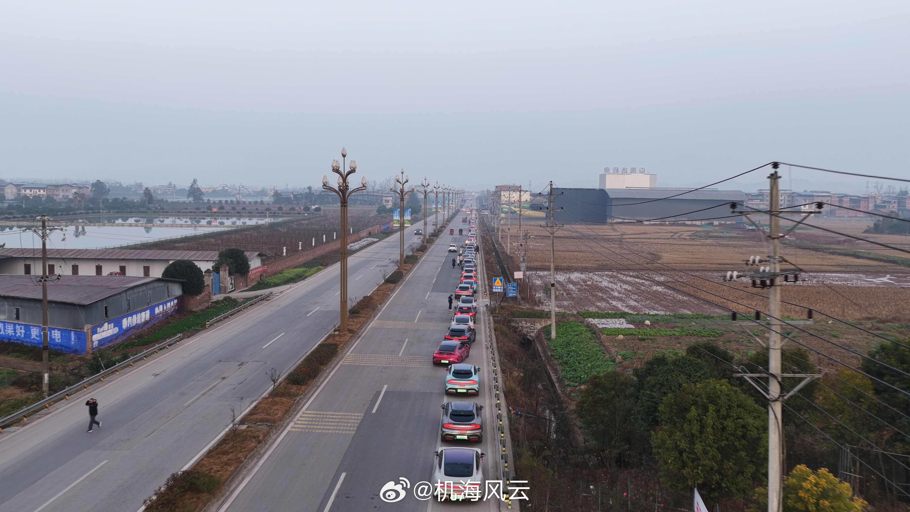 最近一直在追生命树，因为这样的大剧有难能可贵的底色，基于真实故事，主角都有真实原