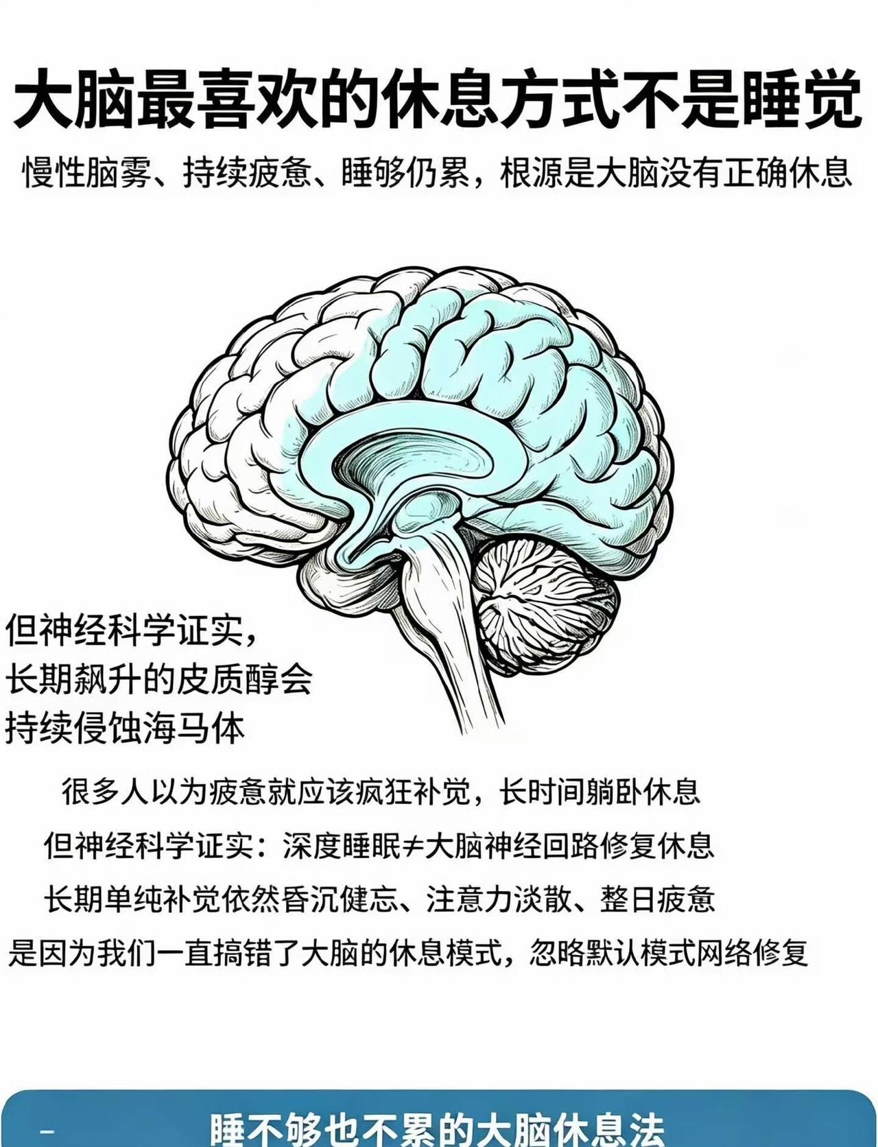 大脑最喜欢的休息，居然不是睡觉！睡够依然疲惫，是搞错了休息模式
 
明明每天睡够