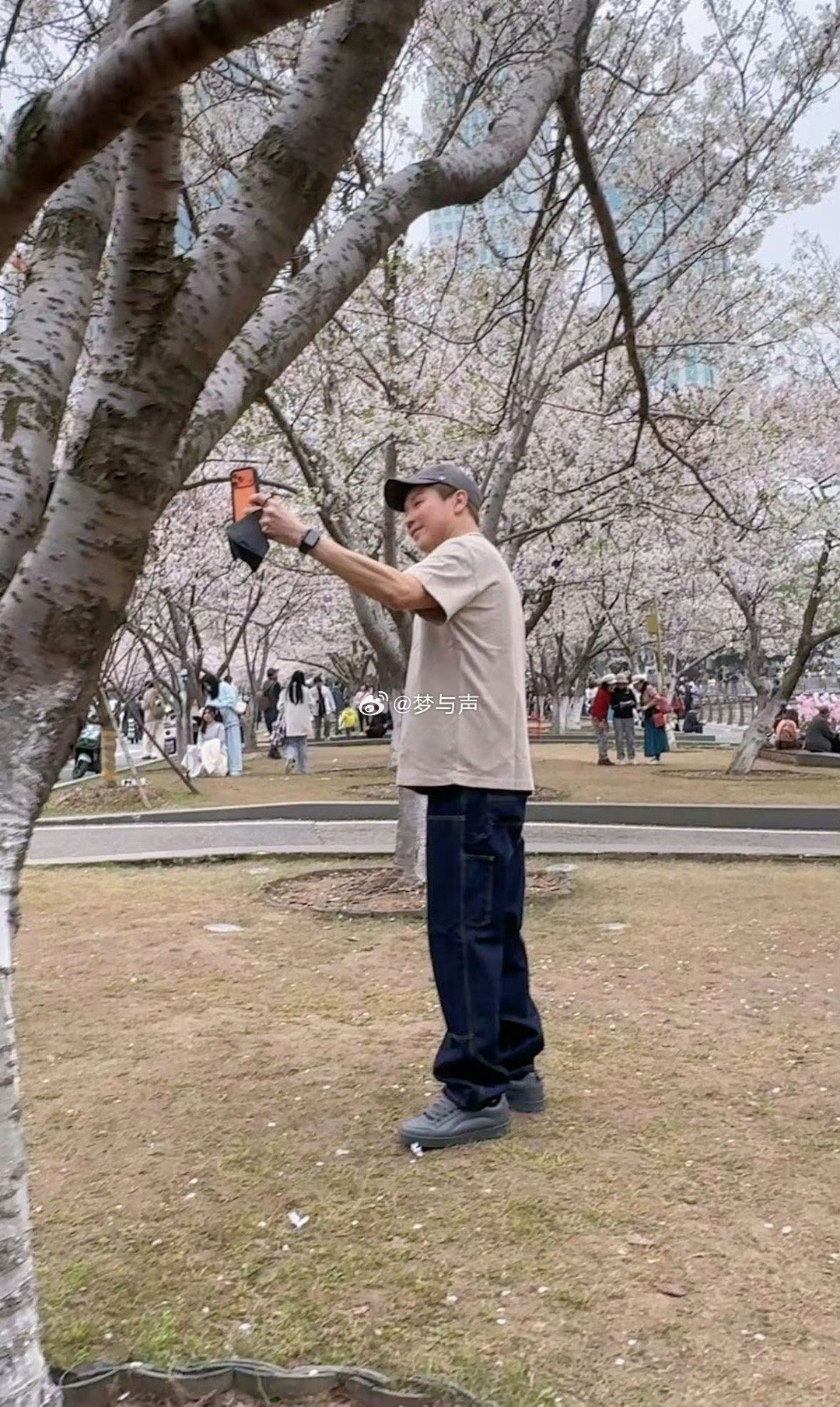 陶喆180度樱花自拍 第一个推荐陶喆去武汉看樱花的人，绝对是个天才！看他旋转18