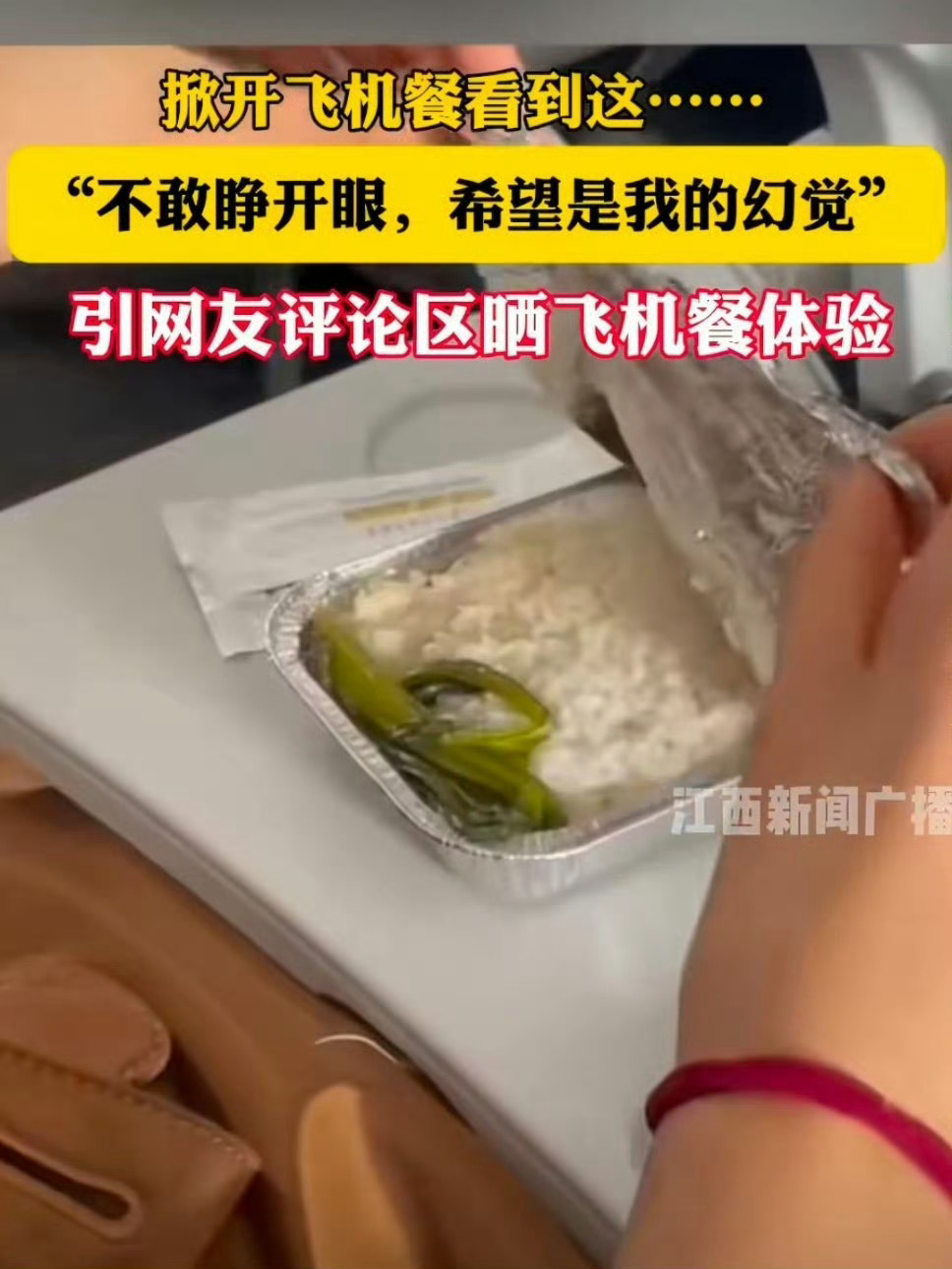 飞机餐再不好吃，也没必要瞎编乱造啊…女子吐槽飞机餐仅一根青菜配米饭