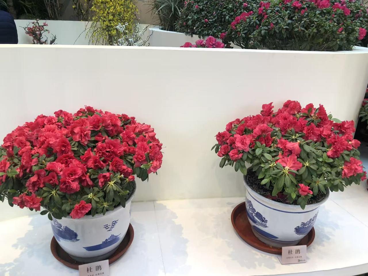 晒图笔记大赛中山公园