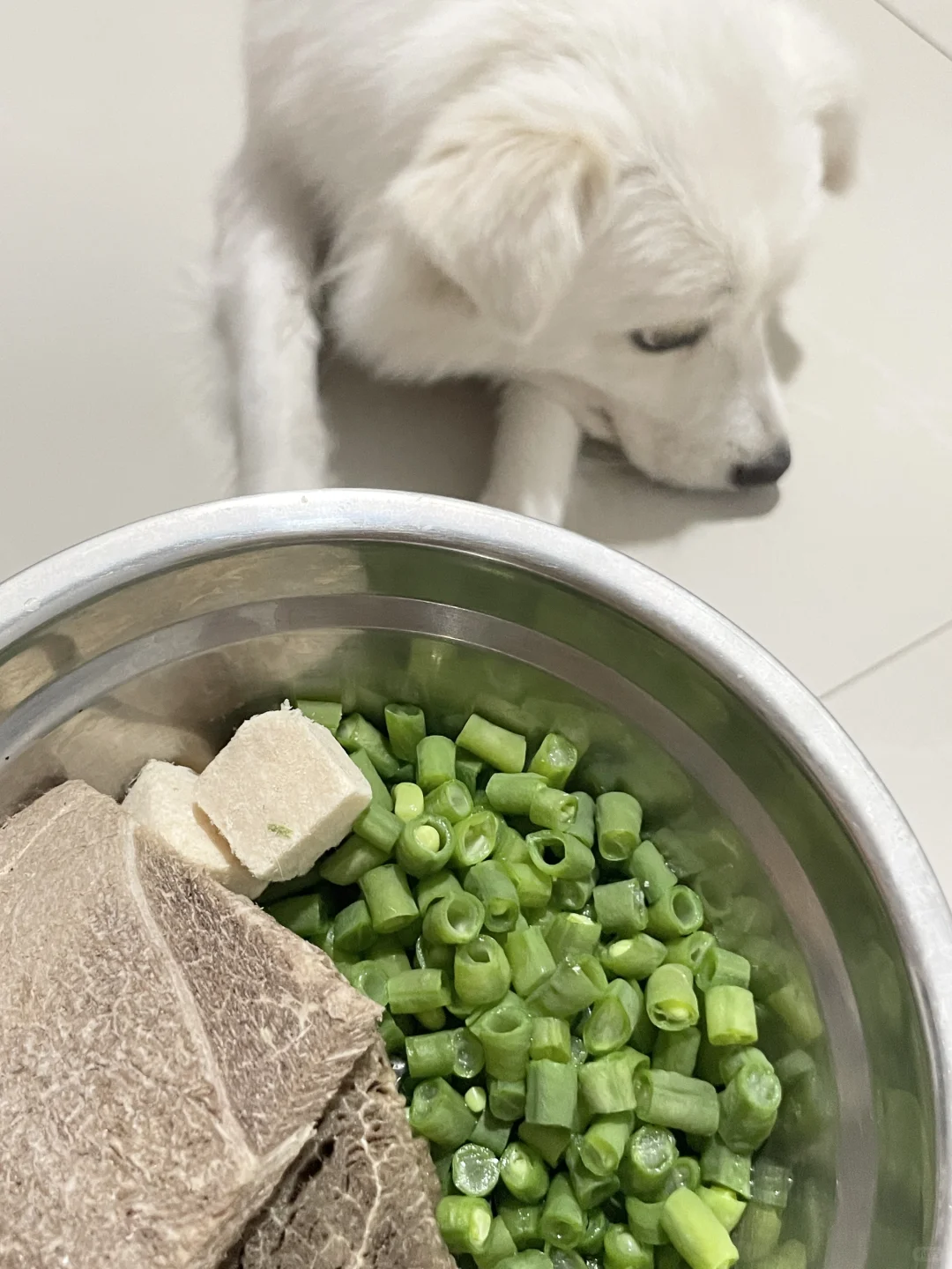 俺妈  豆橛子还没吃完么