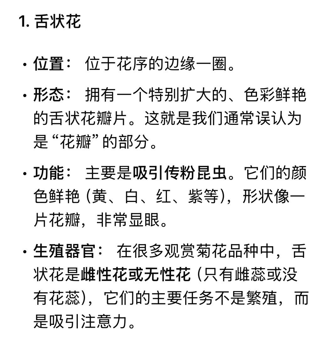 以为一朵花其实是一大家子菊菊花每一片花瓣都是一朵小花 刷到菊花科普直接惊到！原来