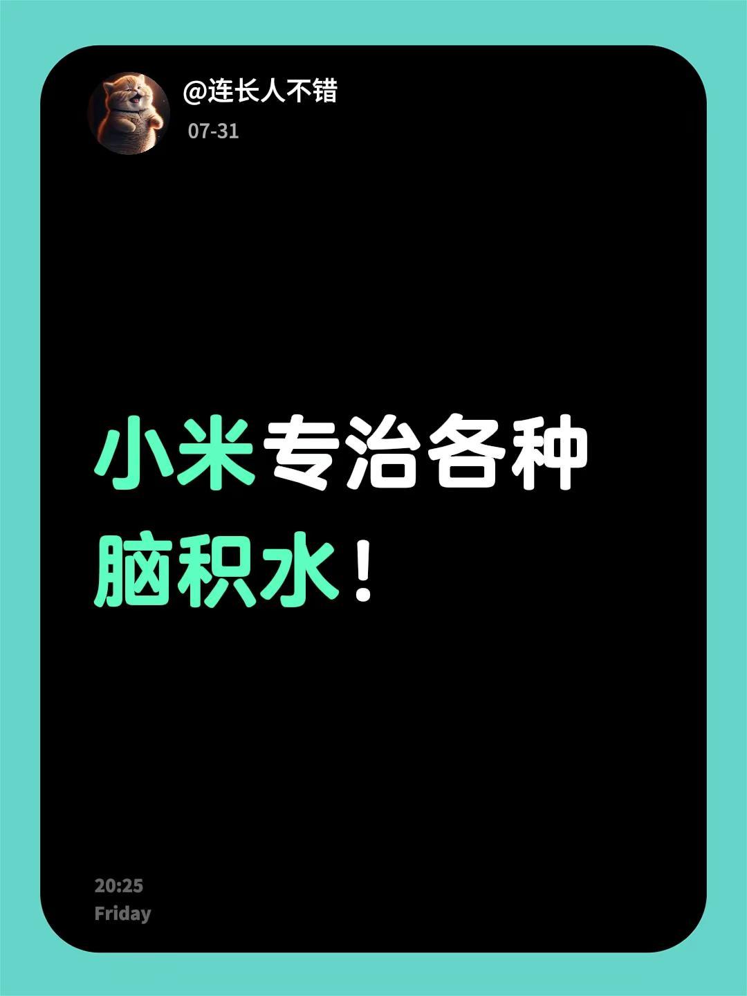 小米专治各种脑积水！