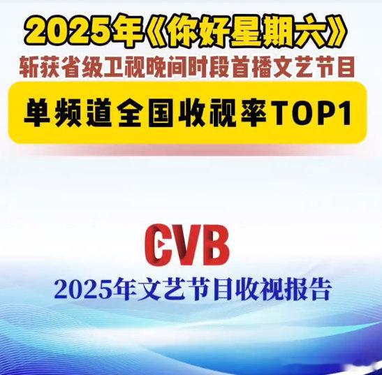 你好星期六年度收视第一 hi6收视率年度第一 你好星期六 2025省级卫视晚间时