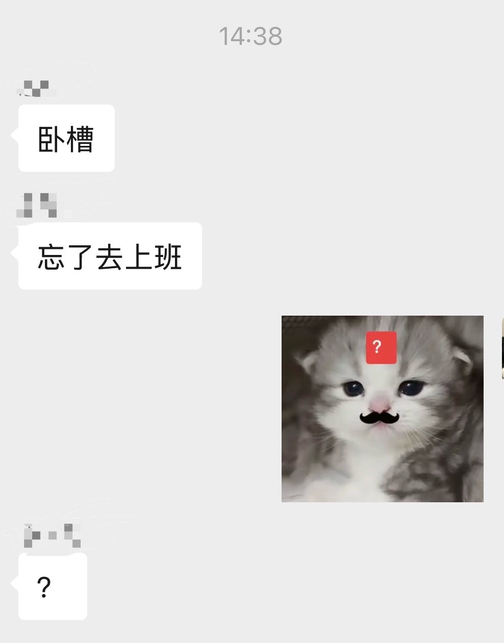怎么会有人忘记去上班的[柯基] ​​​