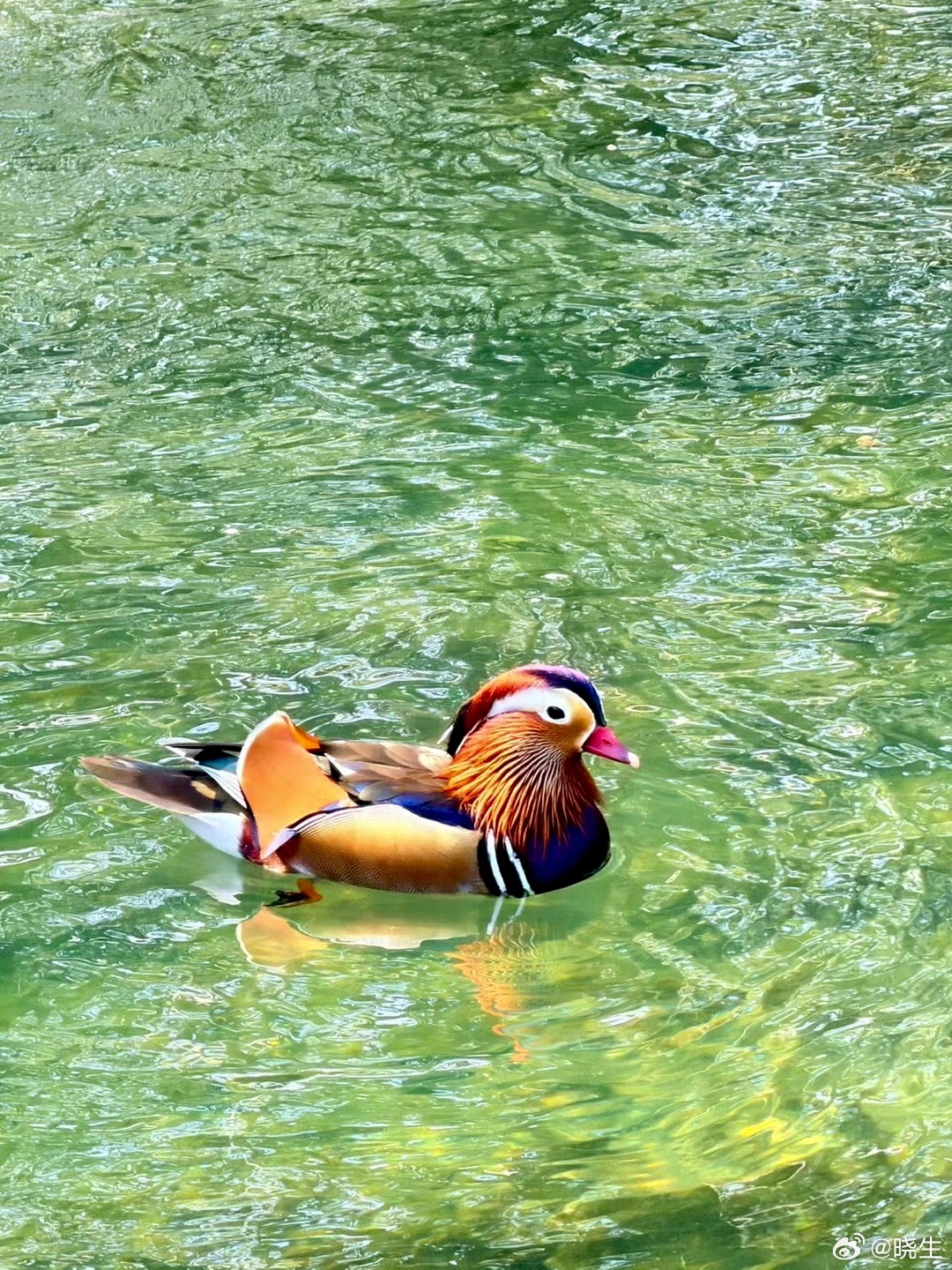 很多人以为，一个人“突然就放下了”但我见过太多案例，所谓的突然，不过是失望攒够了