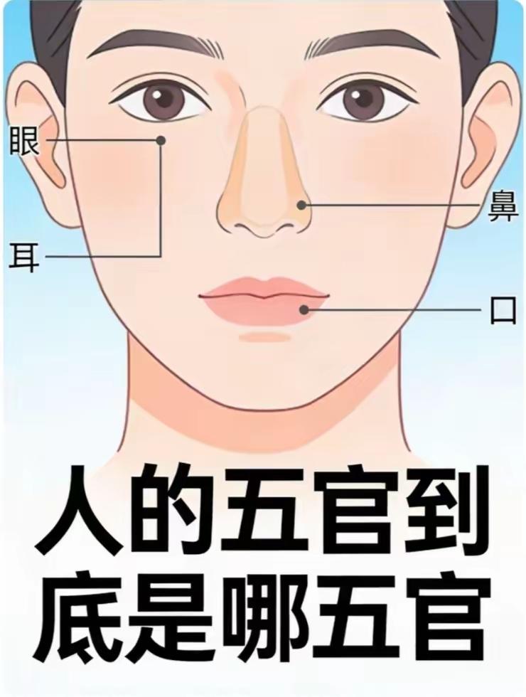 问大家一个常识性的问题，人的五官到底是哪五官。我把这个问题问了办公室的同事，没有