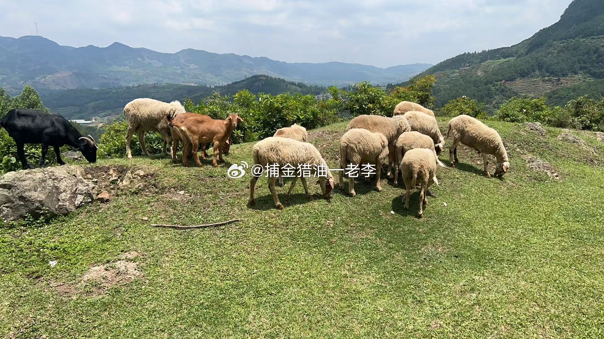 现货黄金黄金原油外汇黄金 美股开盘，道指开跌0.31%，标普500指数跌0.51