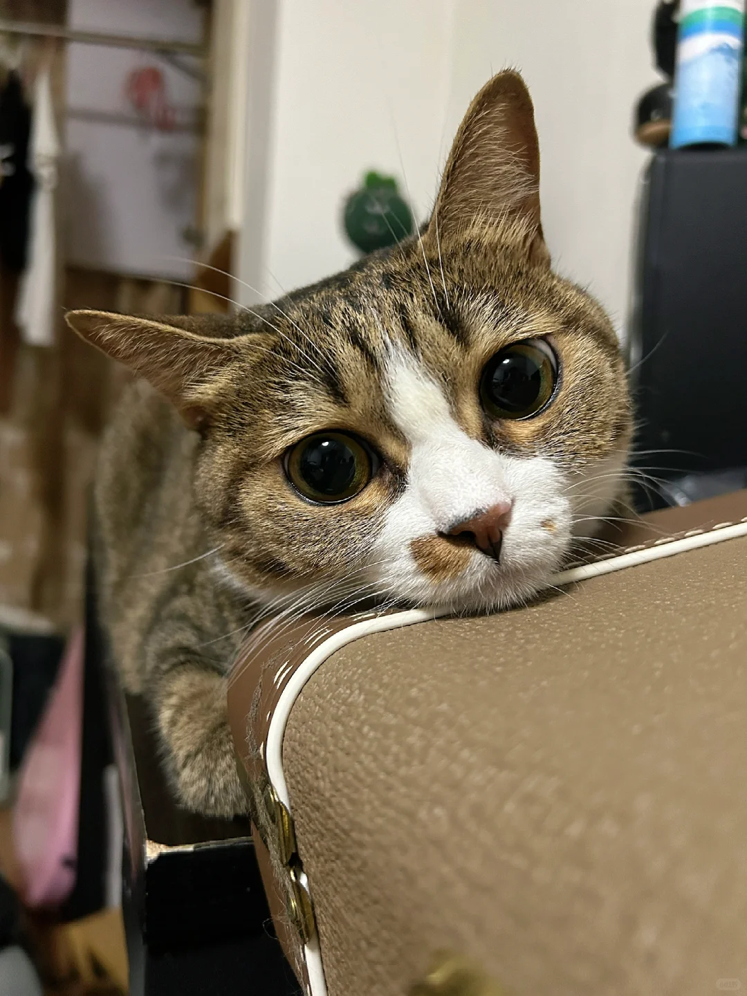 愁着呢…