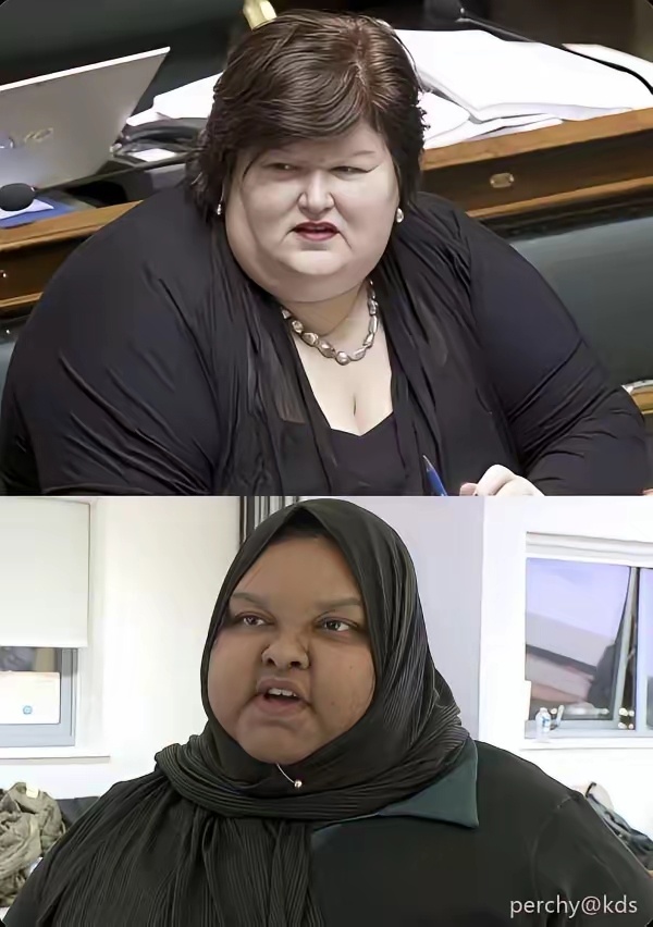 两个150多公斤的比利时卫生部长，和英国健康大使。 