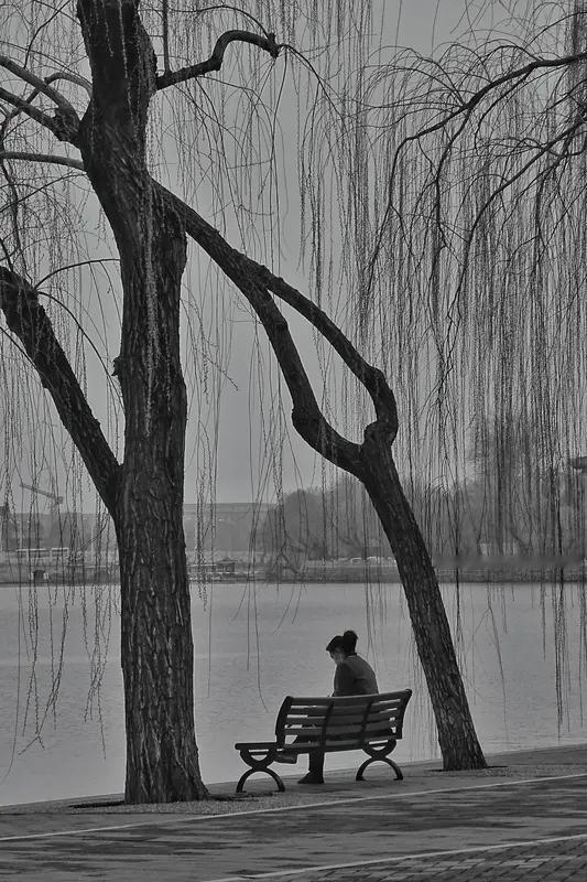 人到中年，
慢慢学会了自己独处。
窗户打开，
清风吹了进来。
猫儿趴在脚边，
睡