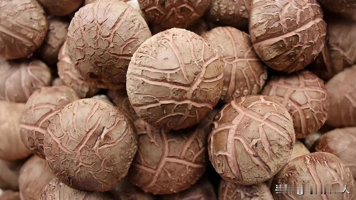 2026最想实现的一件事股市常（长）红！一路上涨！