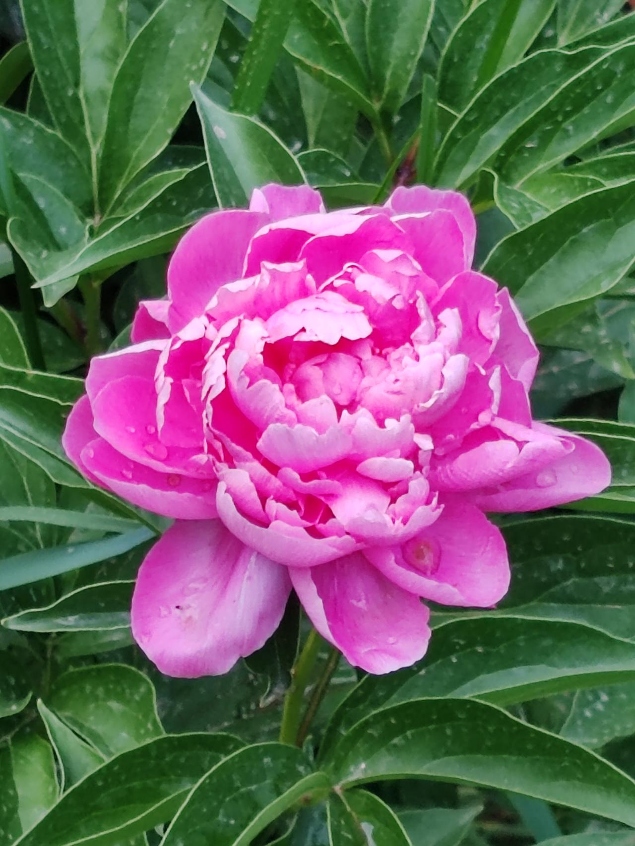 孩子长大了，自己也老了。女工50岁退休，女干部也退居二线。年轻时的朝气、中年时的