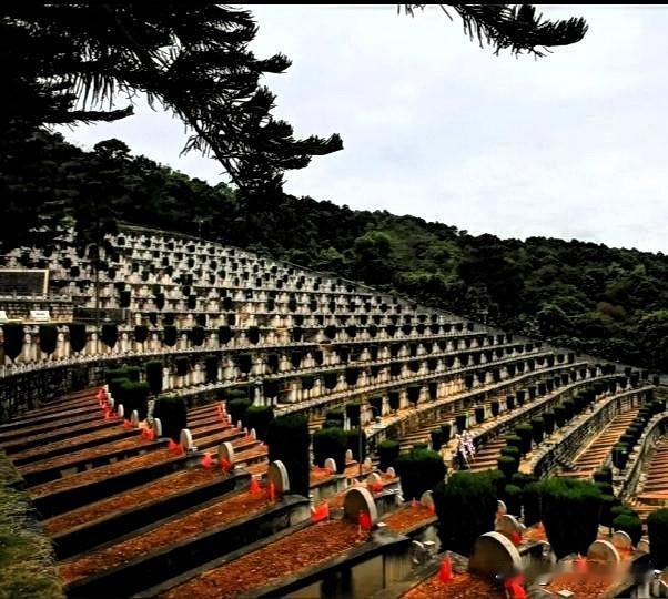 满山不见人，满山都是人。

一一云南麻栗坡烈士陵园。