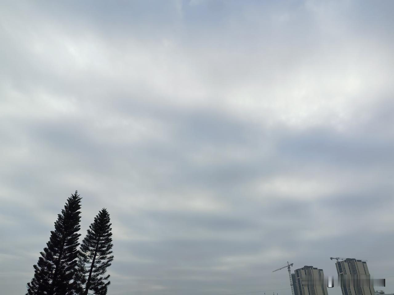 三九天多地最高气温将达20℃，大部地区气温将在波动中回升，与常年同期相比明显偏暖