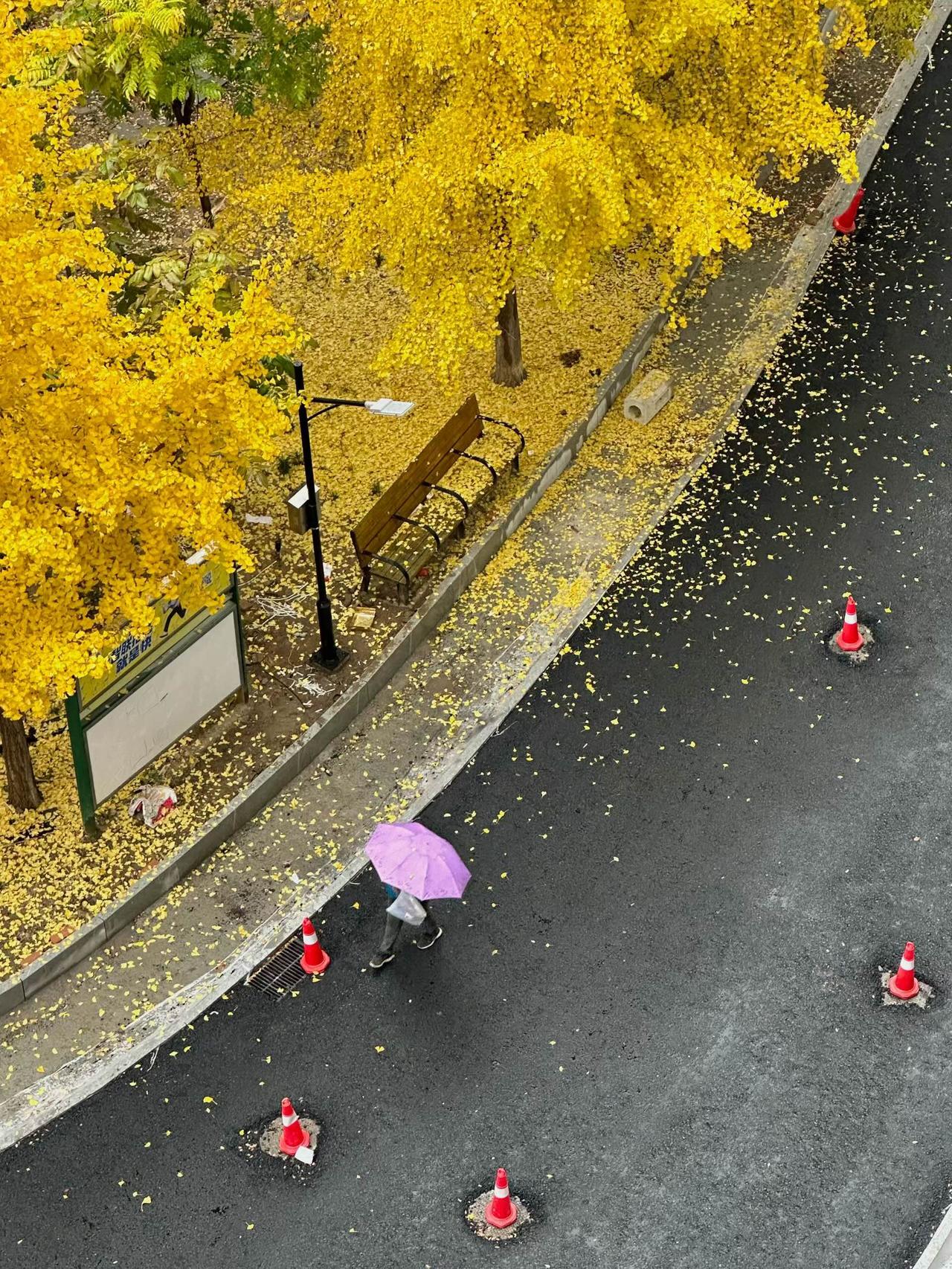 冬日生活打卡季