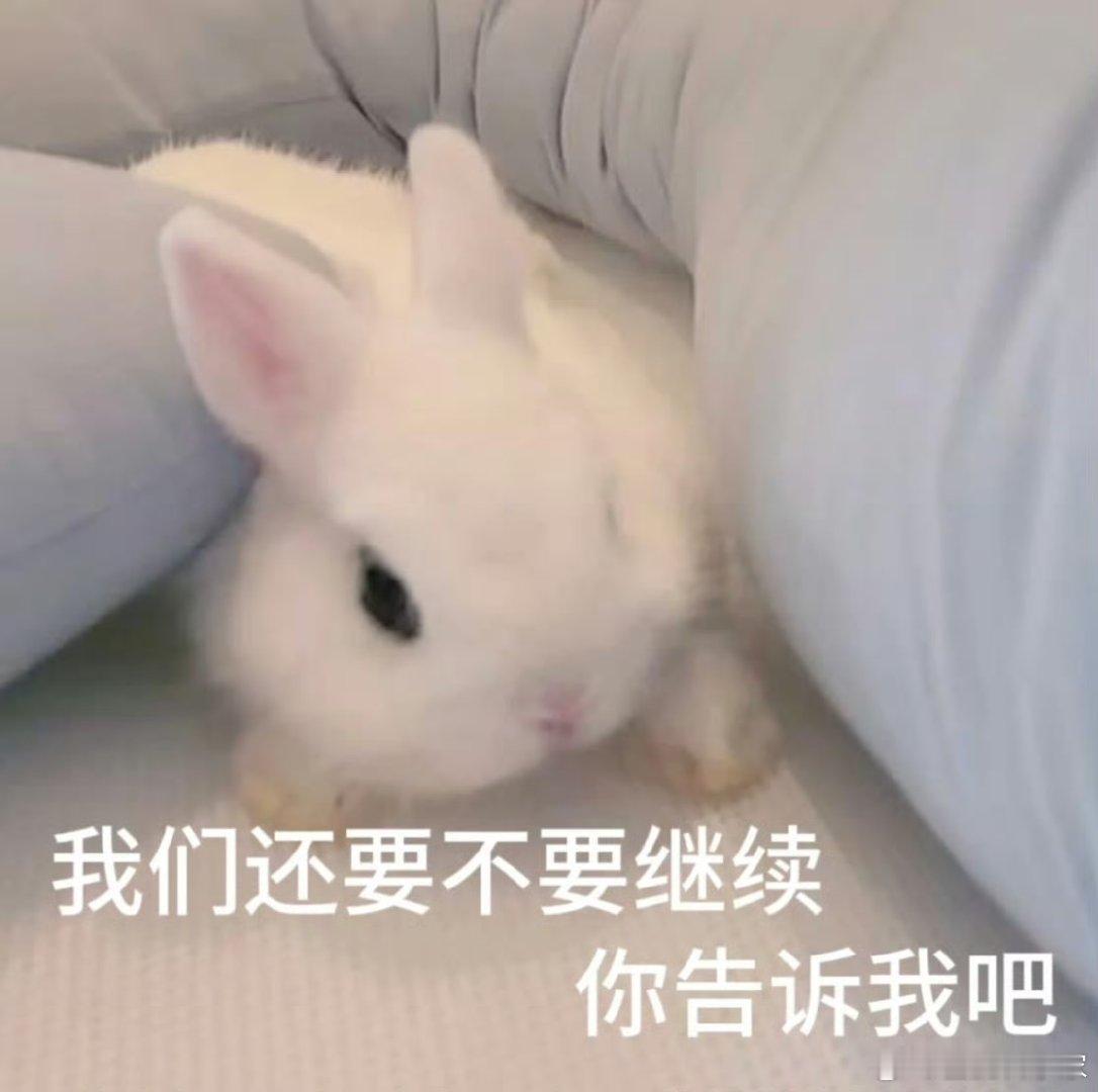 13🥣🍚1️⃣狱 完整版项链 镜子🪞2️⃣热带鱼🐠之前小火了一把3️⃣欧