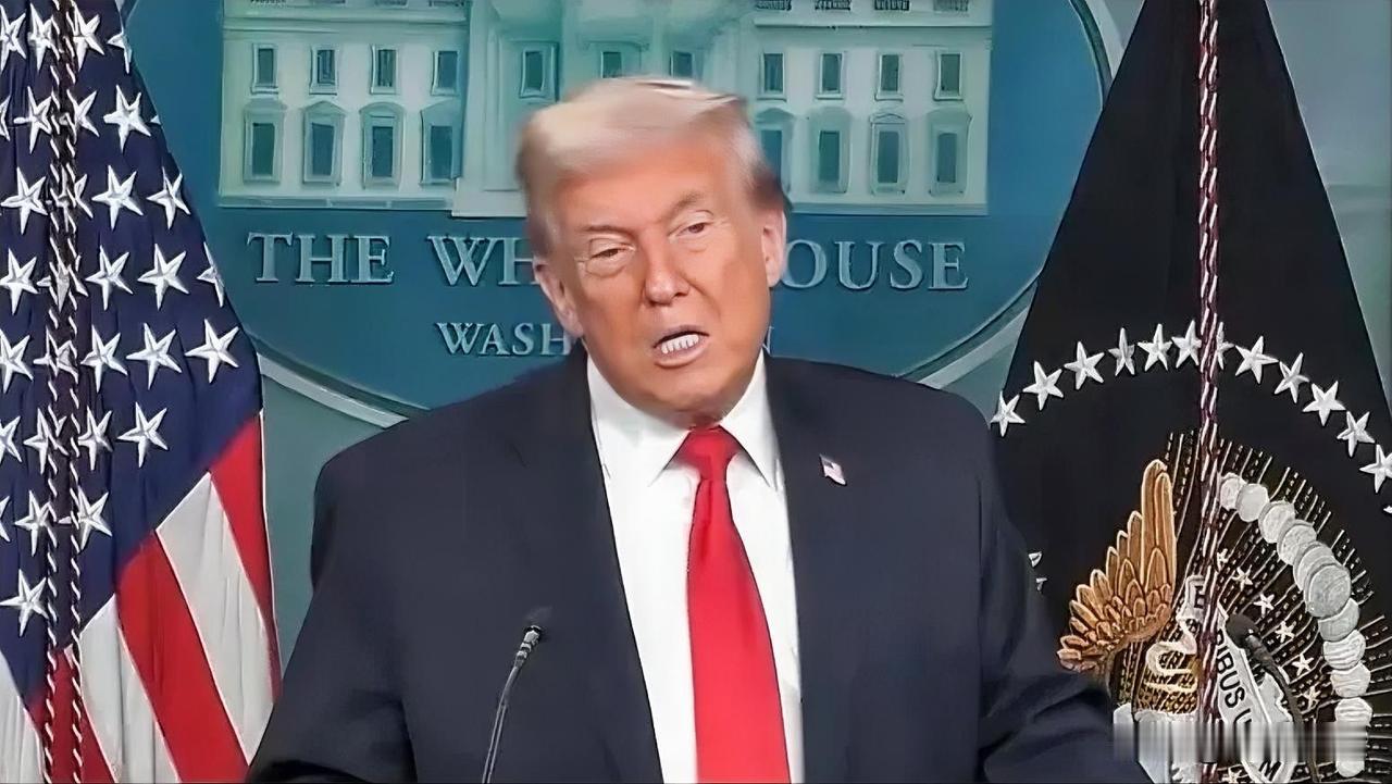 特朗普社交媒体发文: 我将于今晚派遣汤姆·霍曼（白宫边境事务主管）前往明尼苏达州