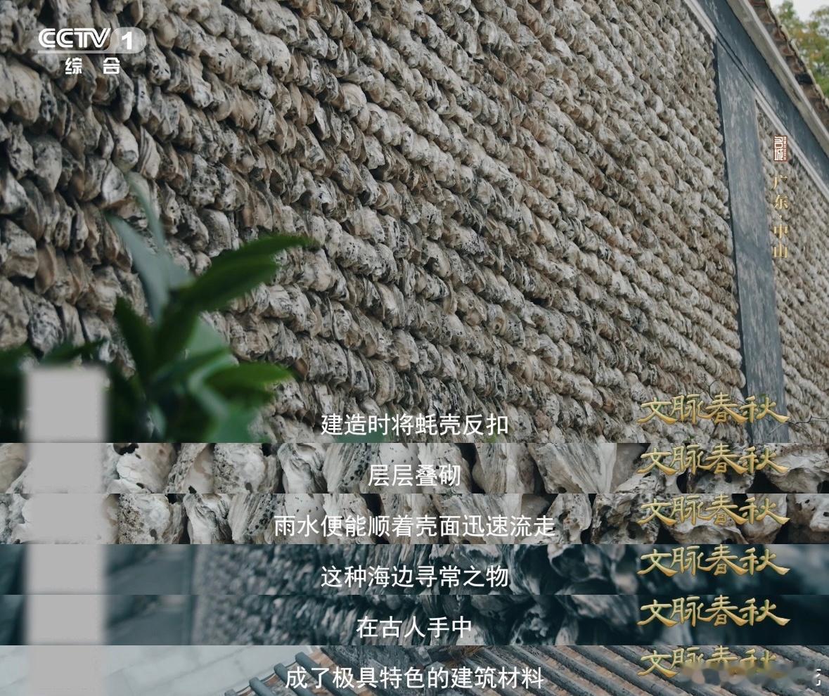 蚝壳砌的墙太震撼了从餐桌废料到建筑瑰宝，蚝壳完成华丽变身，广东先民循环利用资源，