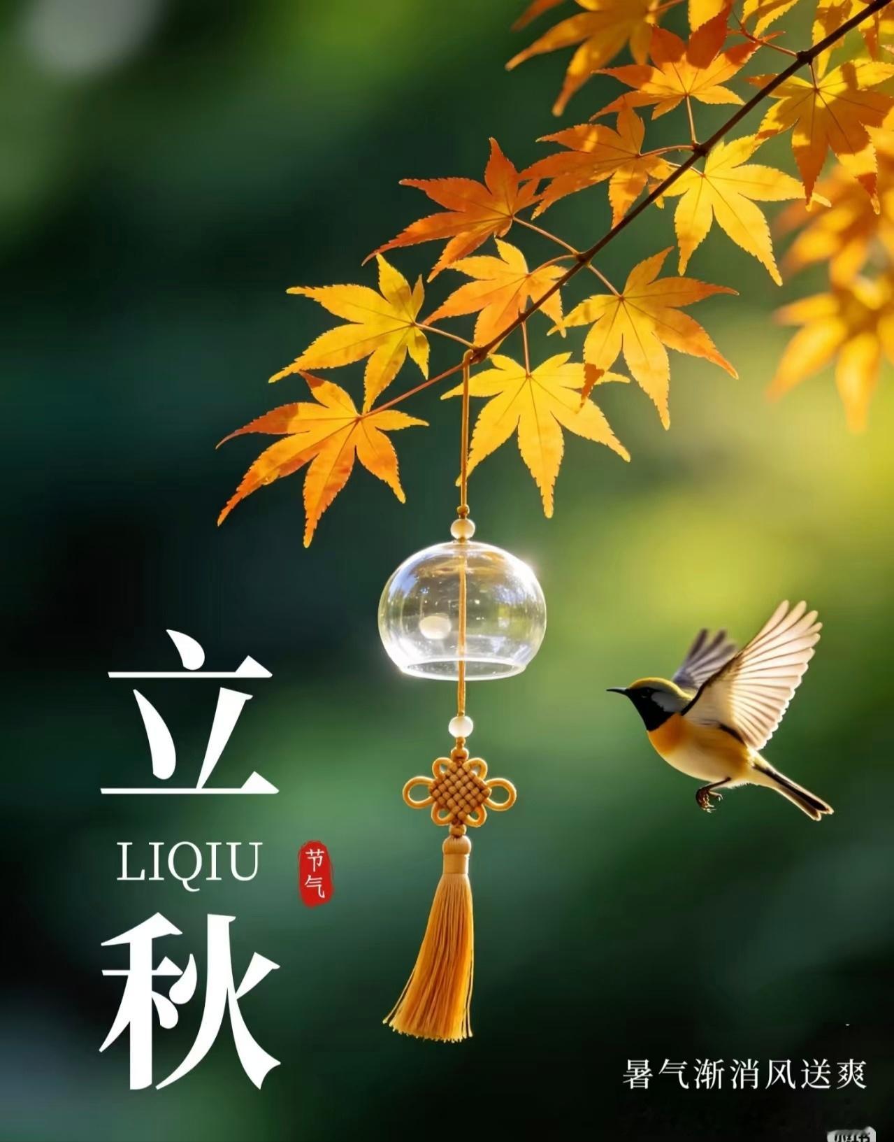 【木叶动秋声，秋天已至🌻】       立秋既至，凉风有信。立秋是“二十四节气