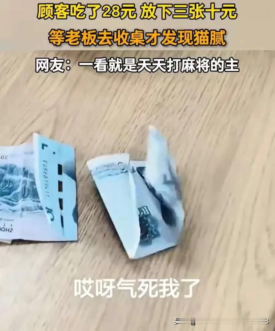 “脸都不要了！”4名女子去面馆吃面，一共消费28块钱，吃完就把钱放桌上离开了，老