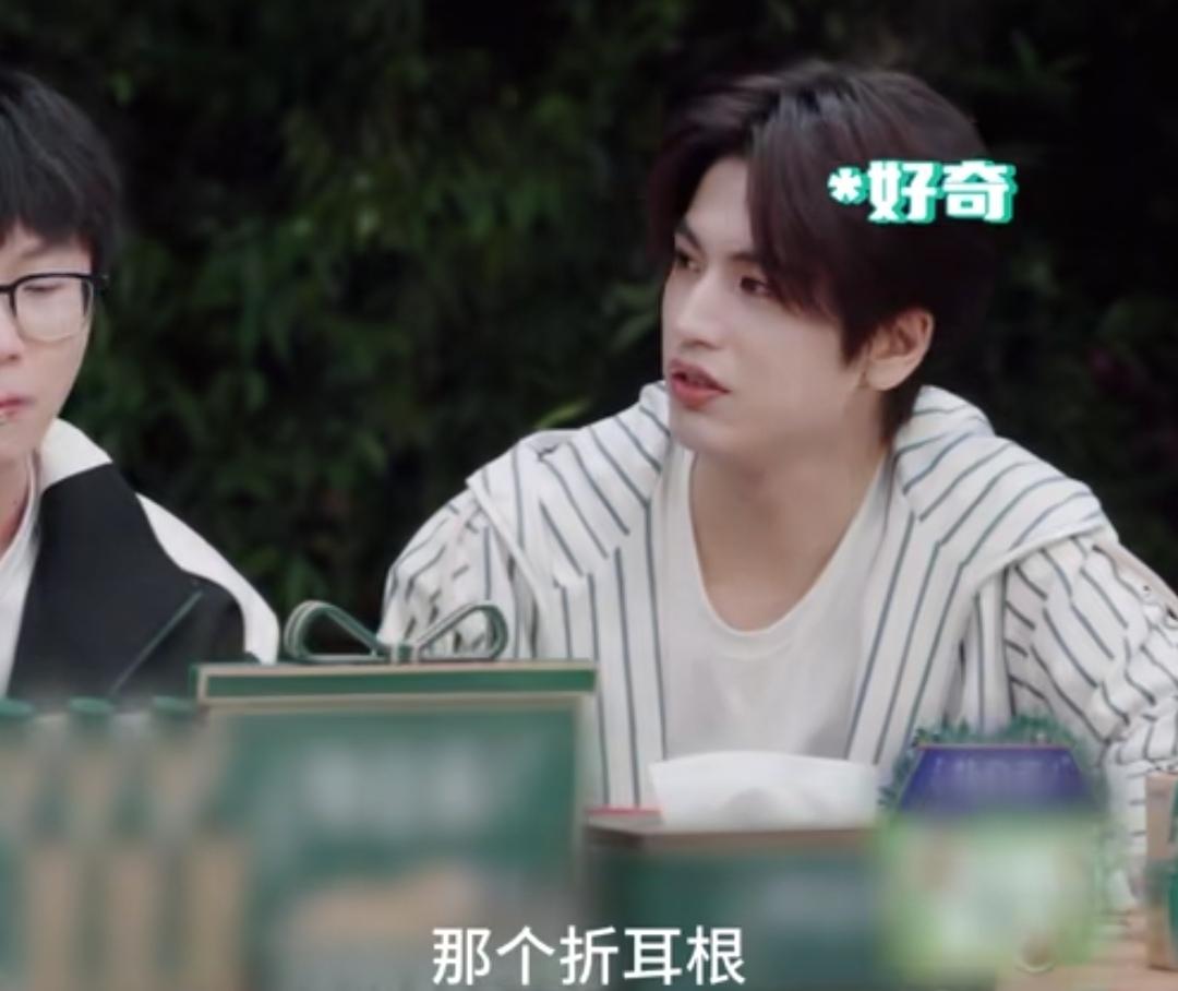 张凌赫问何炅爱不爱吃折耳根，何炅爆料王鹤棣在节目里喝折耳根水！
张凌赫：“你吃那