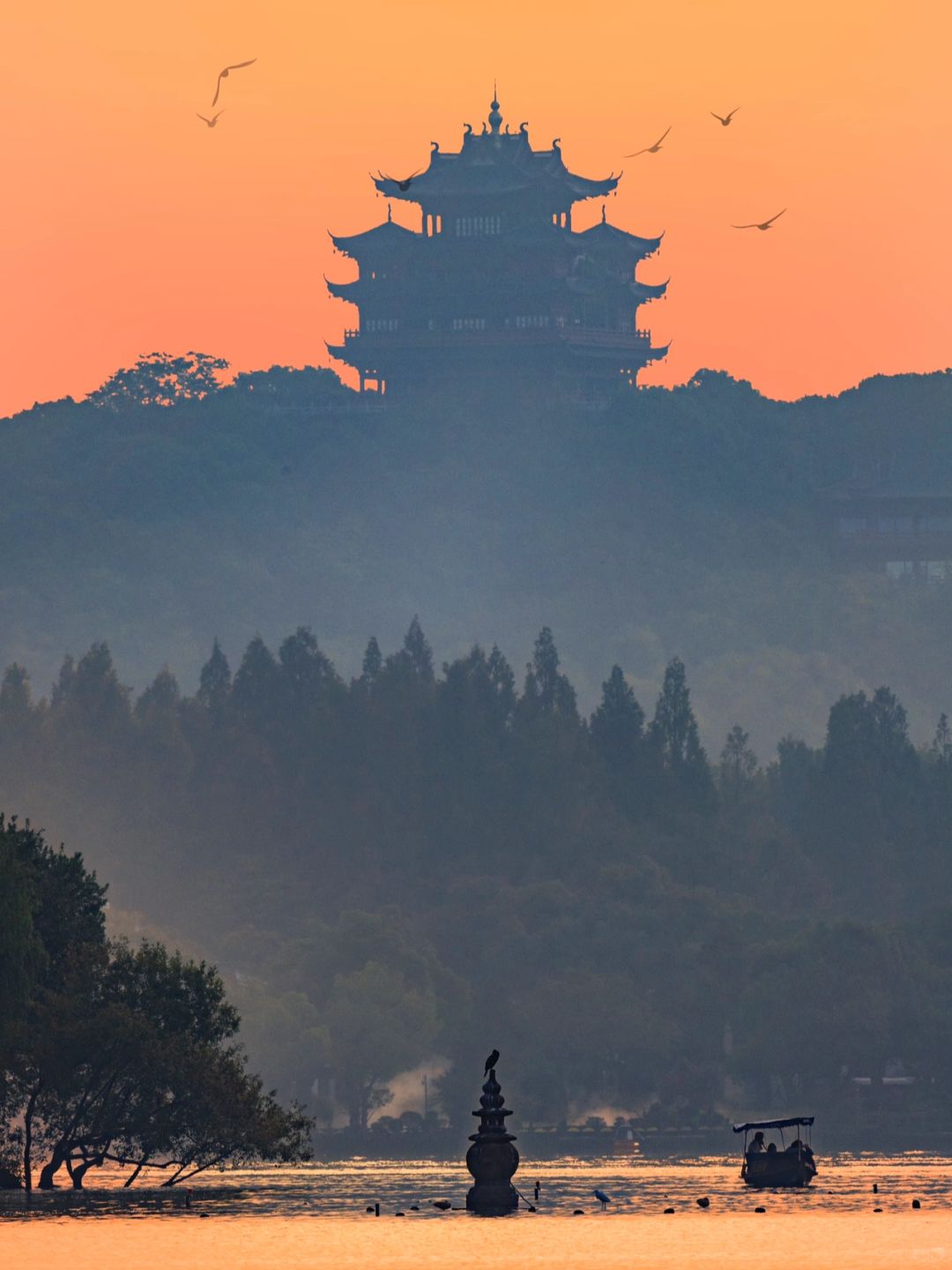 为了拍城隍阁与三潭印月一线❗️我特意去了趟