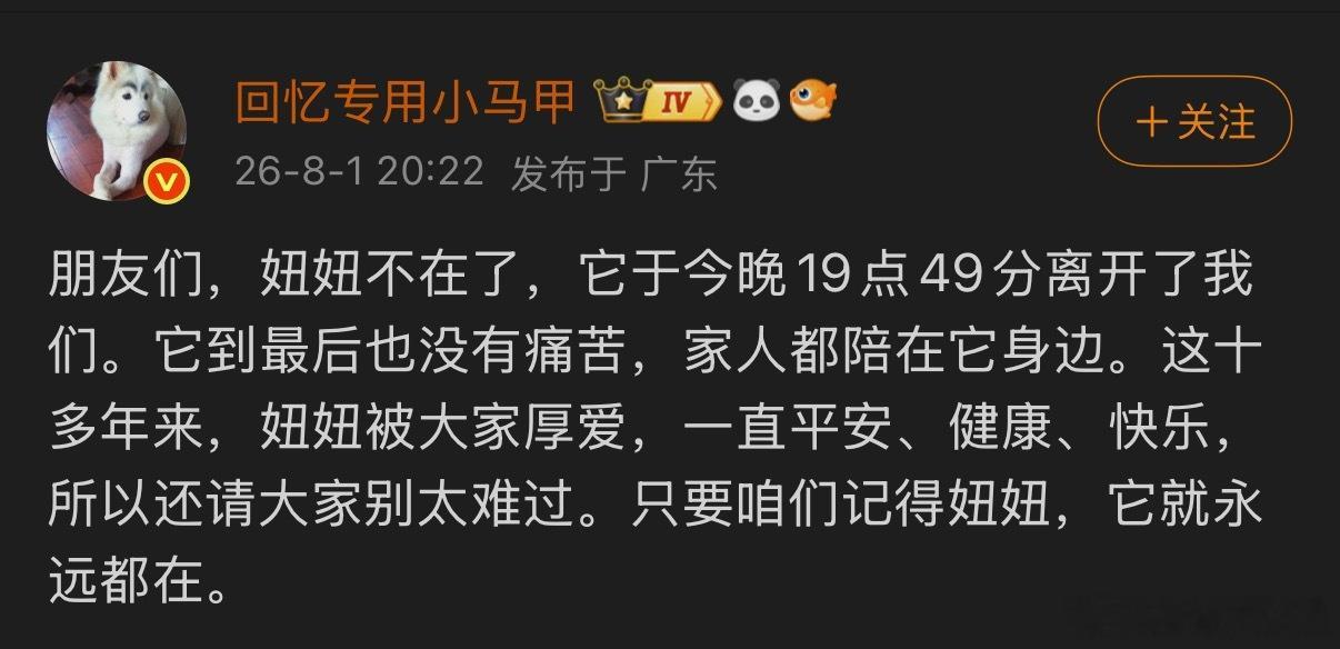 回忆专用小马甲的小狗妞妞去世 的小狗妞妞去世了