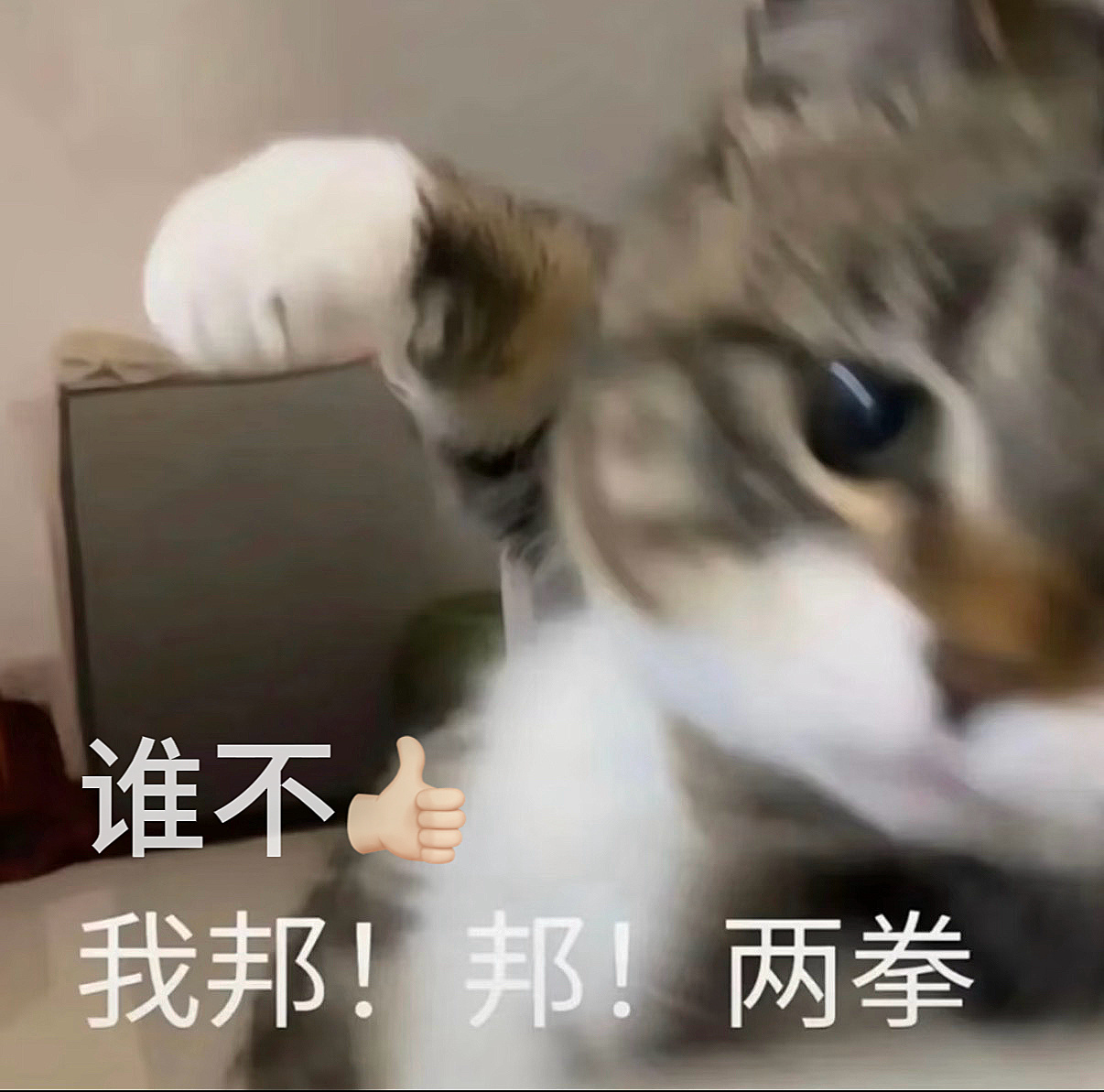 刘诗诗安莉芳全球品牌代言人 lss谁还没收到刘诗诗的夸夸 1️⃣每条👍🏻70
