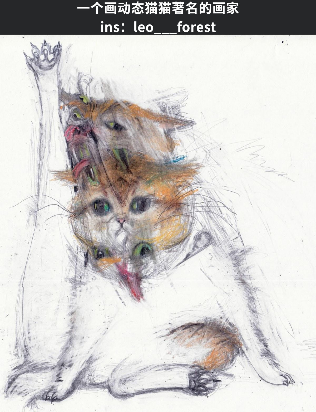 今天发现的动态猫画（leo___forest） 