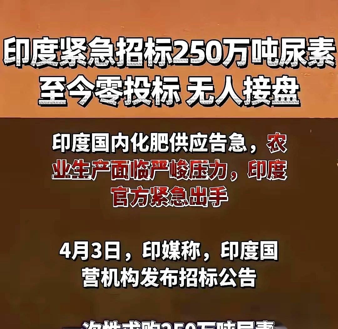 印度一场250万吨的化肥招标会，硬生生开成了个冷场笑话。
他们把请柬发遍全球，姿