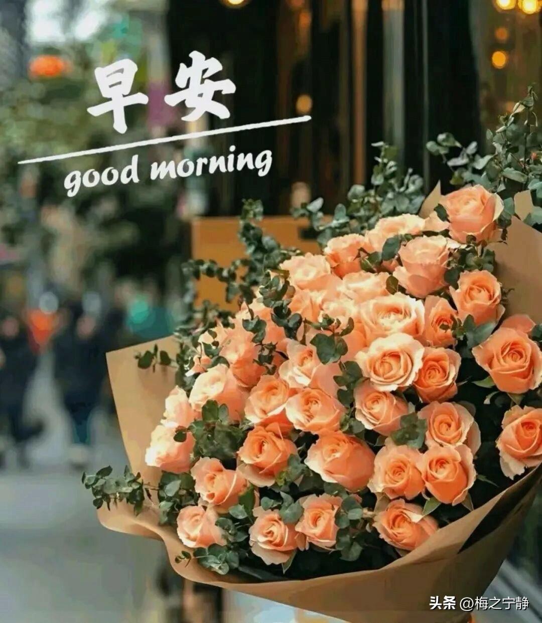 🌼²⁰²⁶/₀₈.₁₀ᵕ̈ 周一｜浅秋安暖🍂☕️🍒🍑

秋风携着淡淡清凉