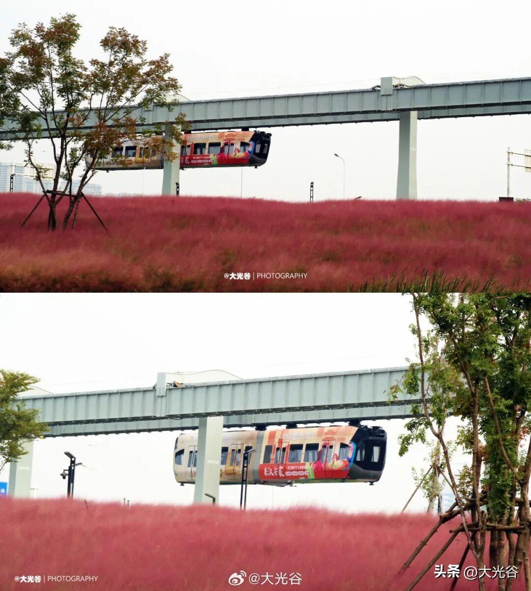 光谷空轨往北暂未开启研究，往南方案已确定！
针对市民关注的空轨二期延伸规划，官方
