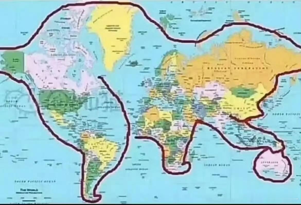 冷知识：世界其实就是一只猫，在玩澳大利亚 