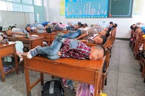 午睡帮助重启大脑  大脑这台生物计算机也需要重启才能以最佳效率运行，而一个短午觉