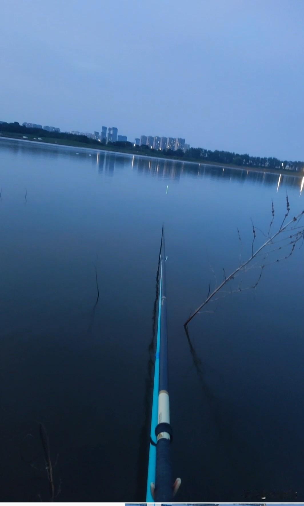 野钓运气成分得占一半，还有一半就是坐对位置。

昨天晚上跟朋友去夜钓，去的路上正