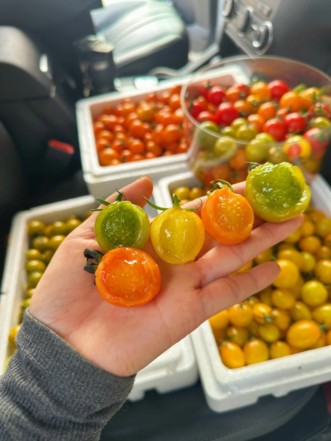 听说爱美的小仙女都在吃这款七彩小番茄！