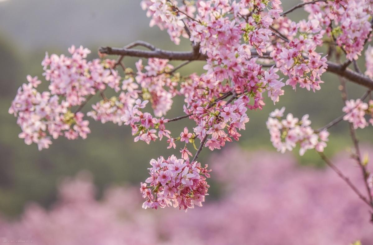 人生路上, 每一步都是风景, 每一刻都值得珍藏, 不因匆匆赶路而忽略了沿途的美好