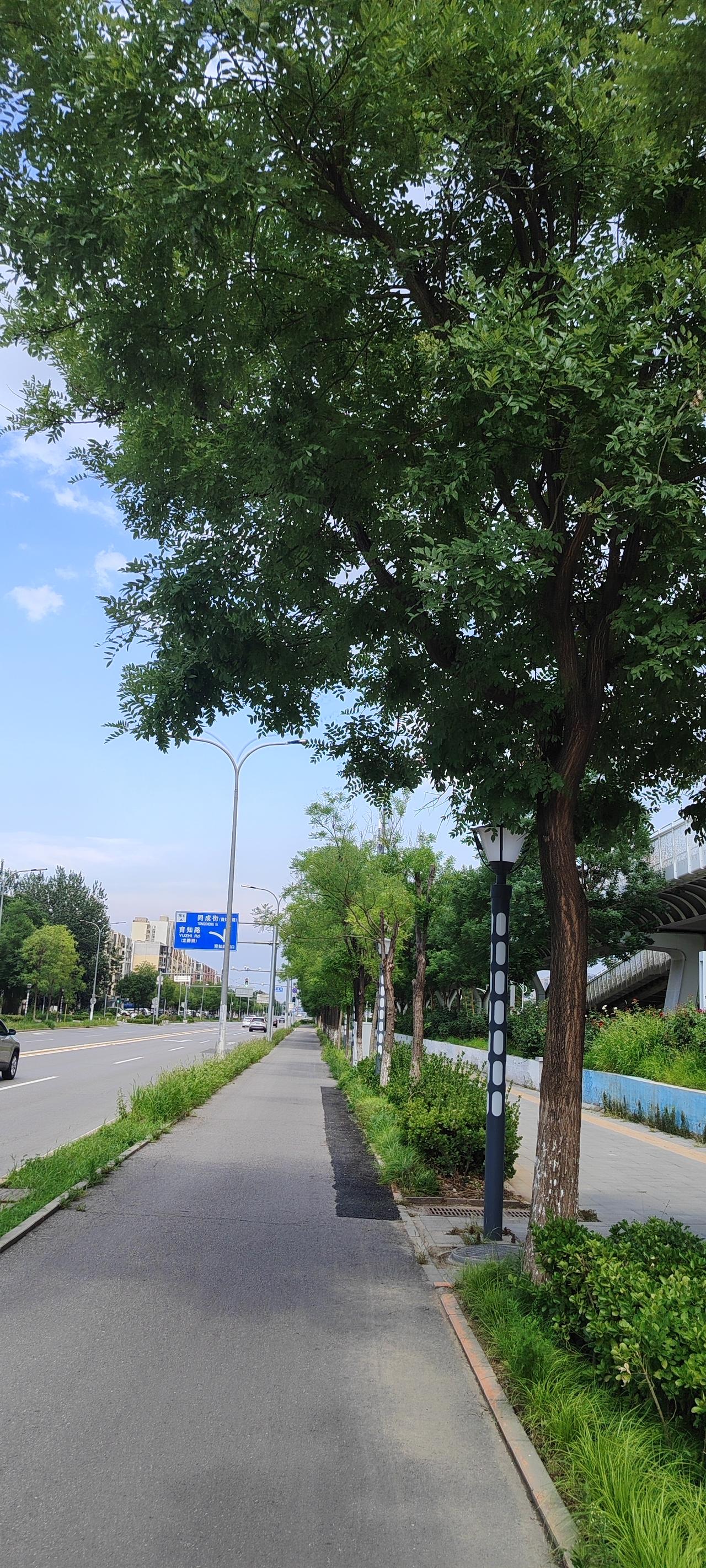 夏日生活打卡季珍惜当下善待过往