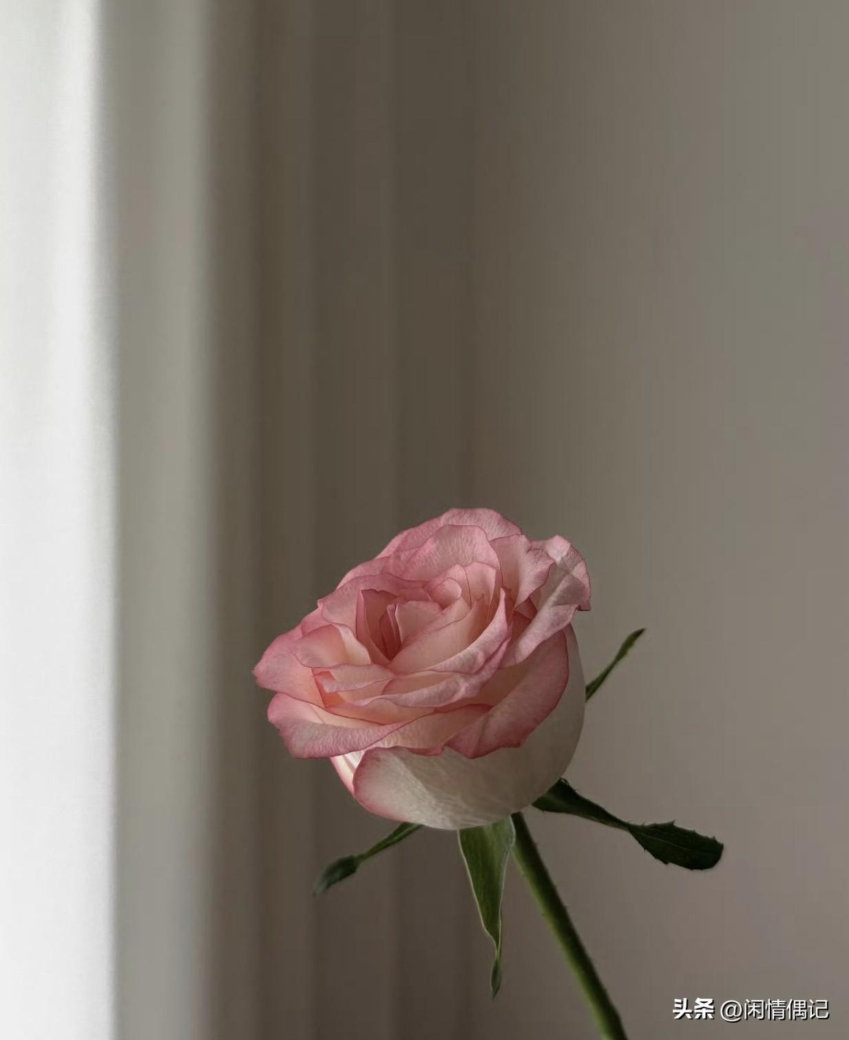 稻盛和夫说：
“人必须出门，必须社交，
必须体验不同的事物，
见各种各样的人，脑