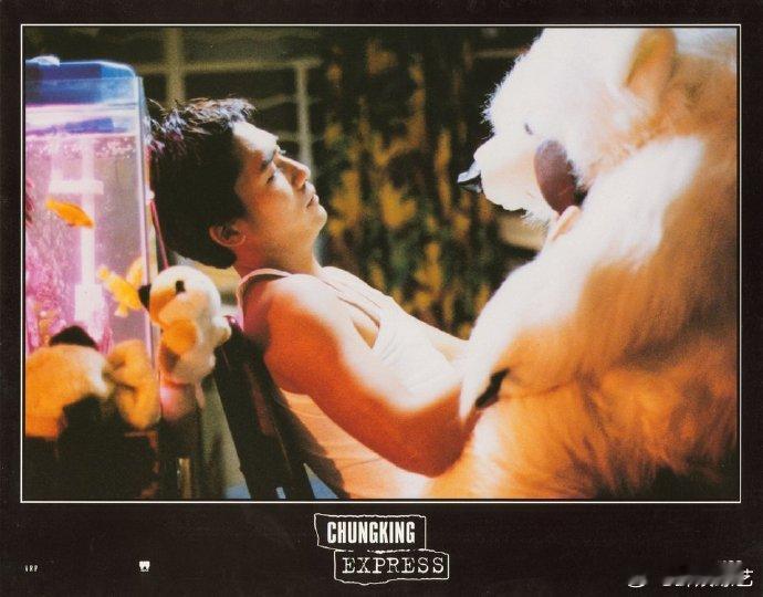 林青霞 拼命要王家卫剧本 影后与“无本导演”的搞笑博弈！林青霞追剧本追得超执着，