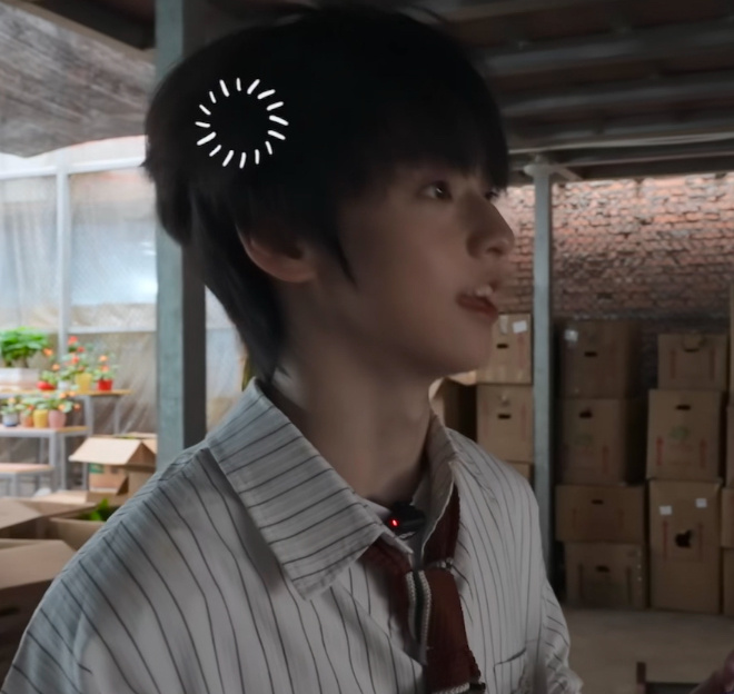 我好累 感觉我每天活的很懵逼 